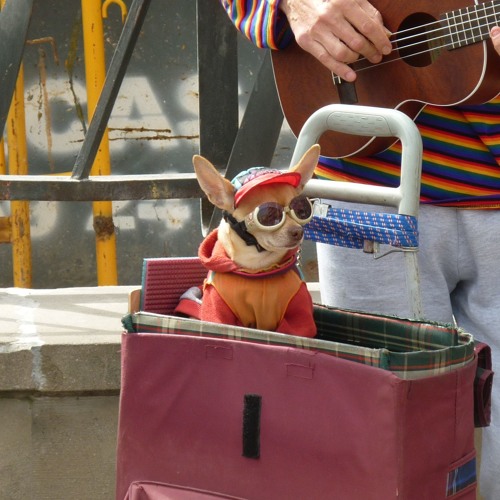 Computerama feat. Nicola Giunta