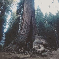 Falling up