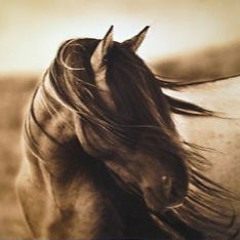 Careful-Horse ft Jeremy Healy