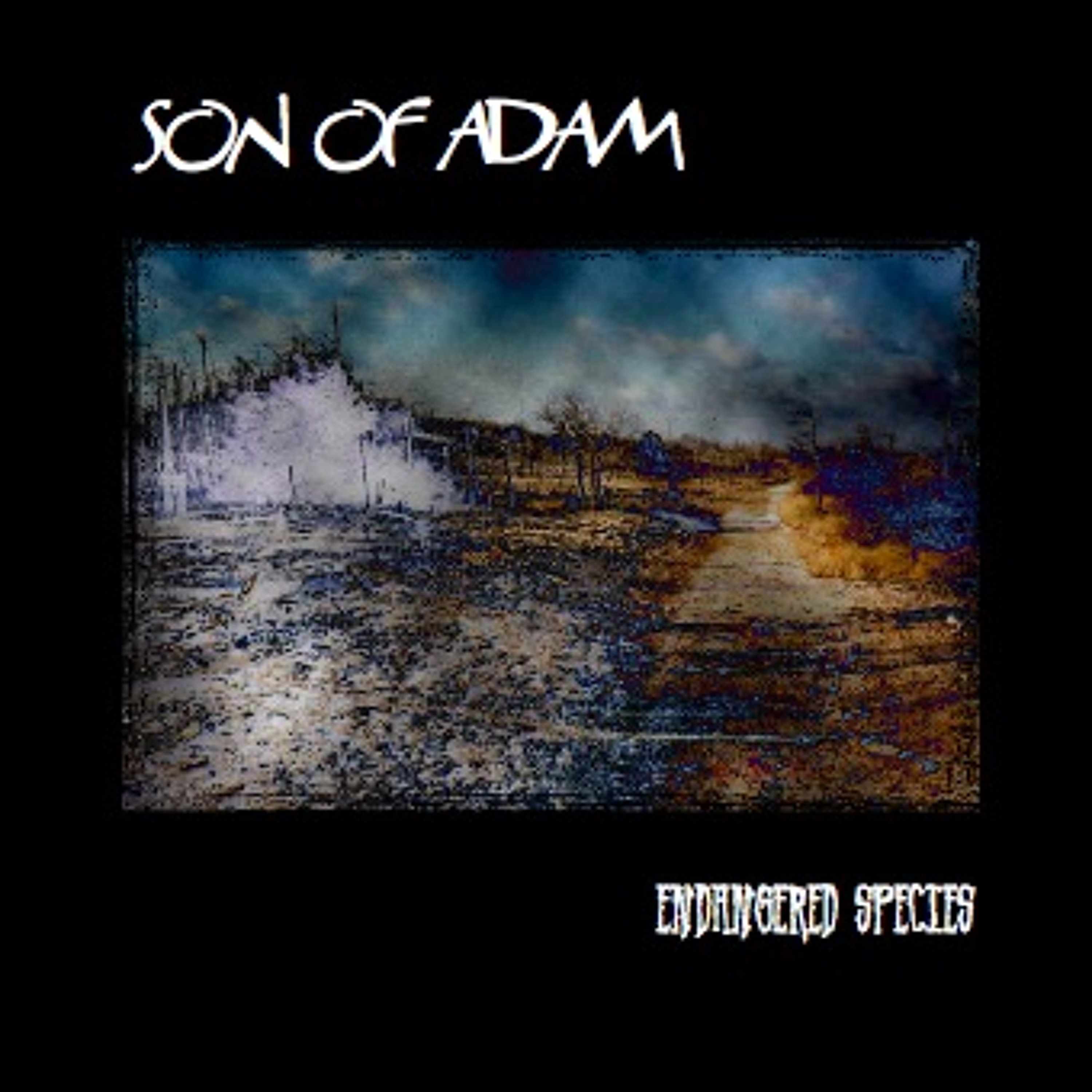 Sonofadam