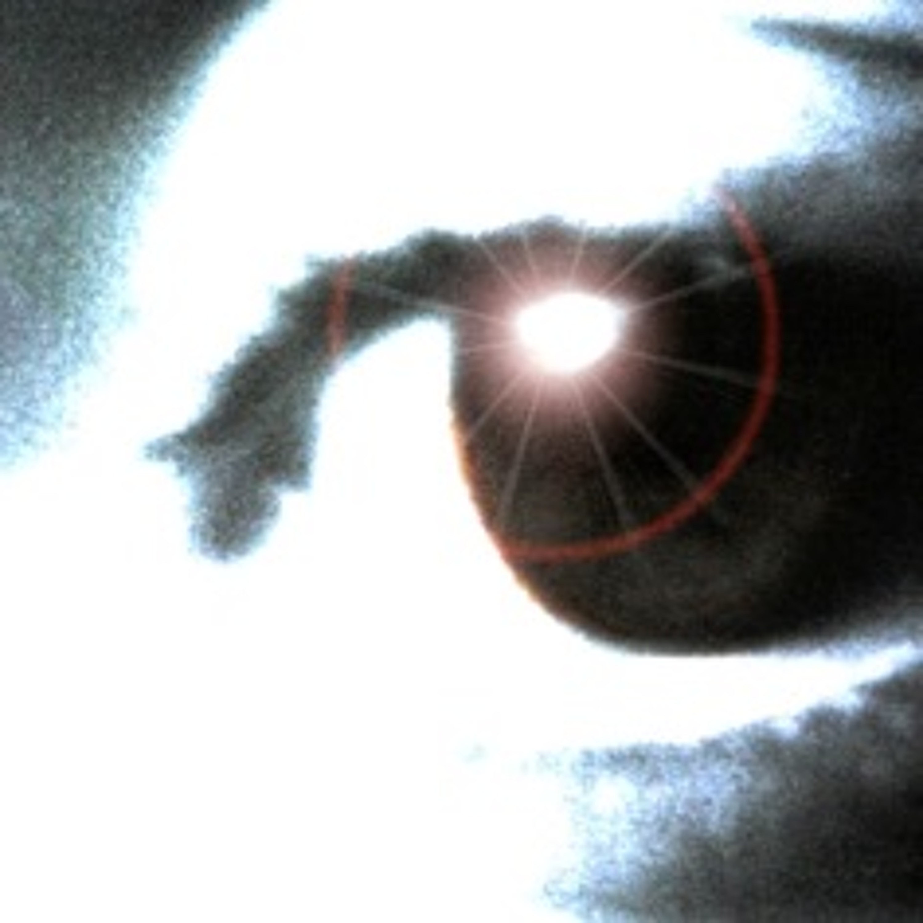 Sonofadam