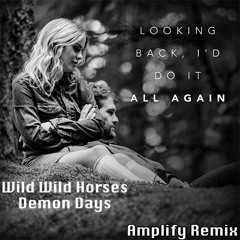 [1st Place]Wild Wild Horses - Demon Days(Amplify Remix)