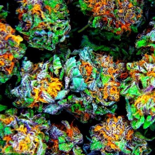 Lil Tay - Fruit [Produced By 2RM]