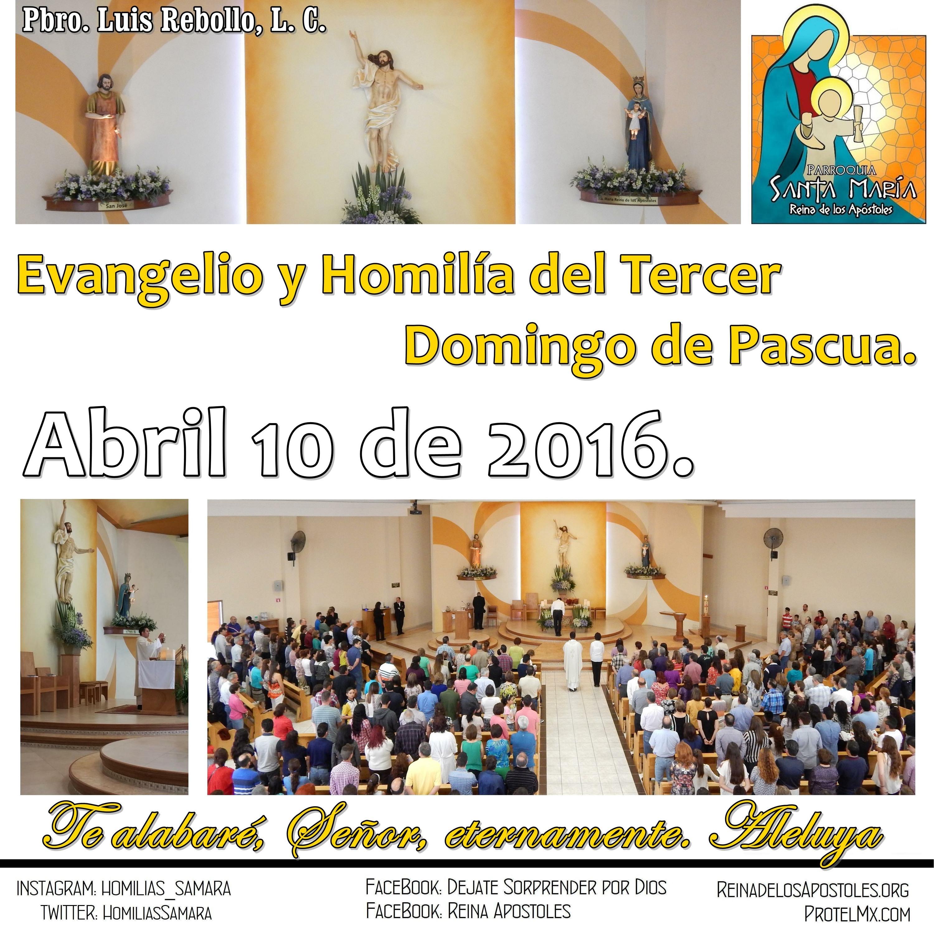 SAMARA_Saltillo #2019