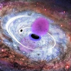 Das Instrument All II