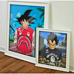 Swaco x Molly - Kakarot & Vageta