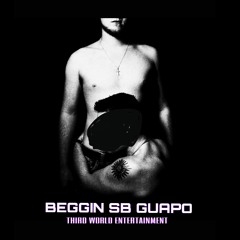 Beggin SB Guapo