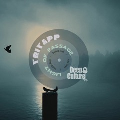 TriTapp "Naka Dawn"