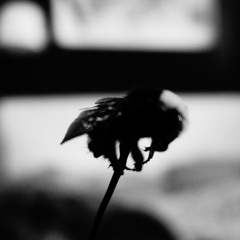 the last time you where in the other room