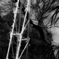 A Dark Tower by Shari Santos