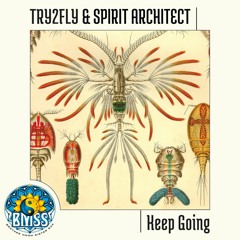 Try2Fly & Spirit Architect - Keep Going