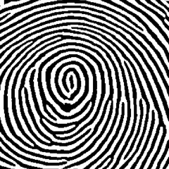 Tribe-Mental-Psytrance