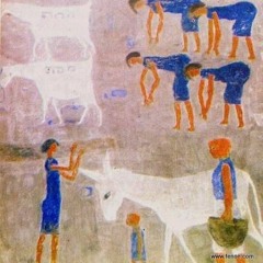 بعدها ستى بتنشل مى