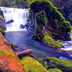 Andrew Luce - Watch Her Leave