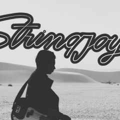 Stringjoy Custom Guitar Strings Review