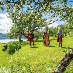 Bruremarsj Frå Brekka