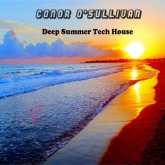Deep Summer Tech House   /  /   FREE DWNLOAD