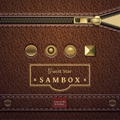 SAMBOX - I'm Lost In Confusion