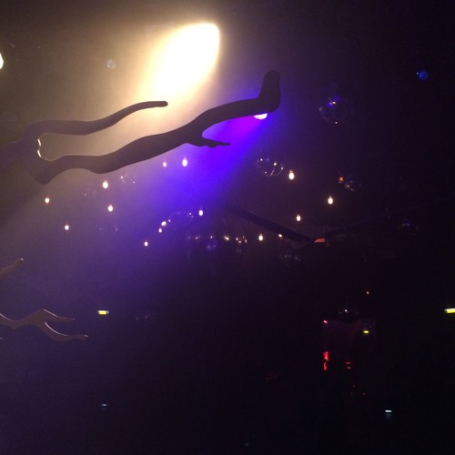 Somewhere Else Tomorrow at Gans oder Falscher Hase - Docks Hamburg - 09.04.2016