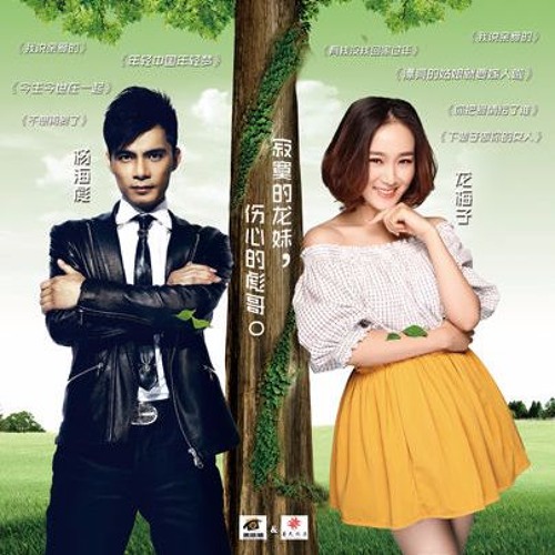 寂寞的人伤心的歌 - 龙梅子&杨海彪 (DJ Version)