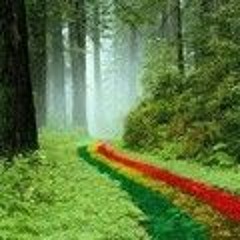 Reggae 35