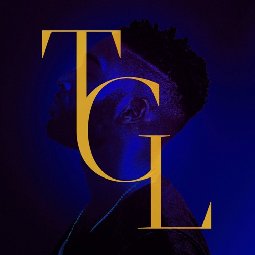 Stream Tinie Tempah - Girls Like ft. Zara Larsson (DA-NI Remix) by daniel |  Listen online for free on SoundCloud