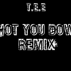 Shot You Down Remix