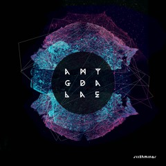 Fornix