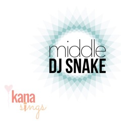 Middle - DJ Snake & Bipolar Sunshine (guitar cover)