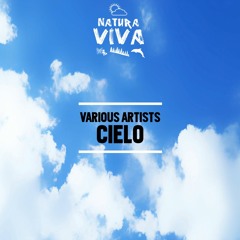 MARTIN PANIZZA- The Speech (Original Mix)- Natura Viva Music