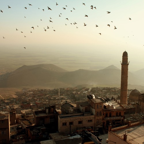 MARDİN DAĞLARINDA