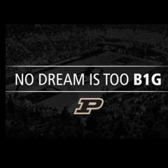 B.I.G - Mo Money Mo Problems (MajAfLeX Flip)