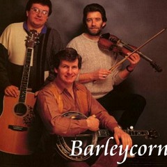 Barleycorn - Our Lads In Crumlin Jail, Jailed IRA hostages/political prisoners