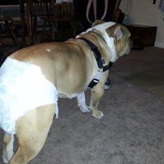 Episode 8 Feat Hung "El Chino"