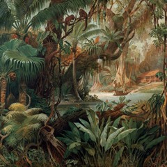 Tropicz