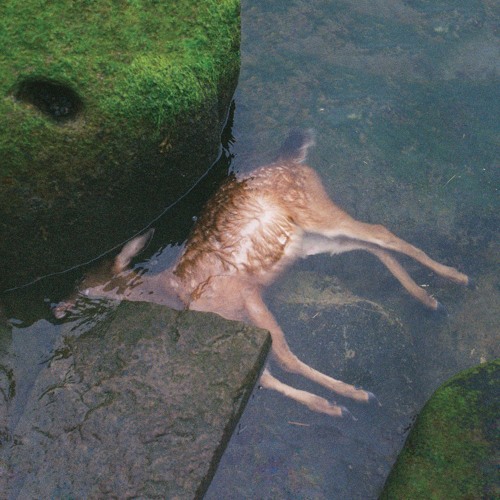 Pro Teens - Hamuela