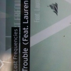 Lost Frequencies - Trouble (feat. Lauren) Lost Winters dubble