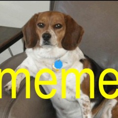 The Meme Playlist