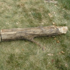 Hangin in the Poop Wing with Eric