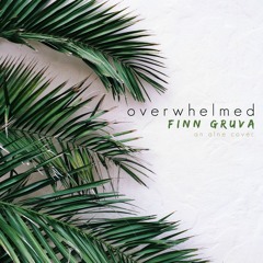 Overwhelmed // Finn Gruva  (reggae acoustic cover)
