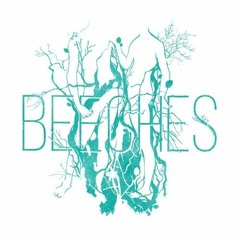 Stay Young - Beeches