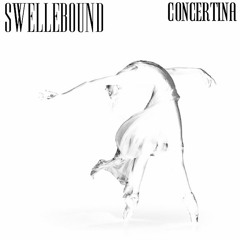 Concertina