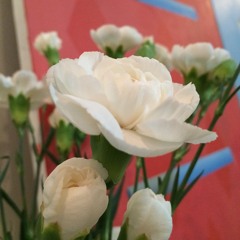 The Book Of Love - The Magnetic Fields (Cover)