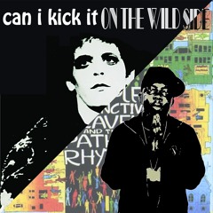 Can I Kick It On The Wild Side