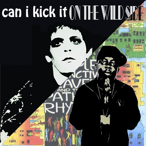Can I Kick It On The Wild Side