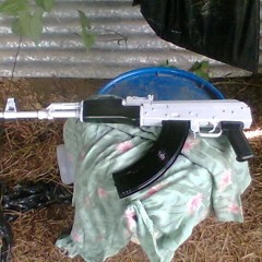 Panda Freestyle FT Ghost$lum Ace Edaii