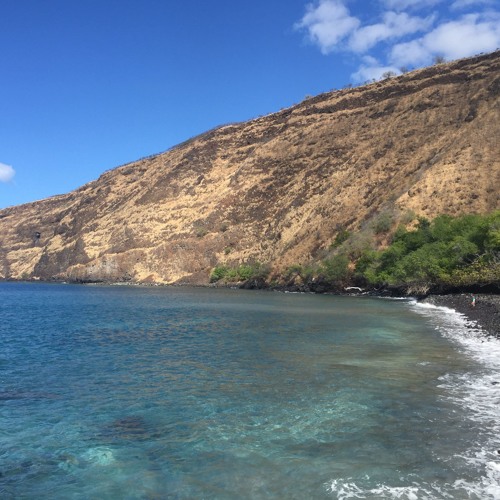 5Rhythms® Big Island Sweat 2nd Wave: 4/7/2016
