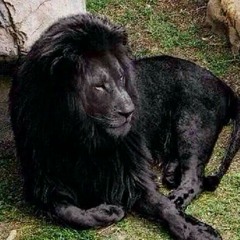 Smoking Japan...Dirty Duggish & Giant Mike