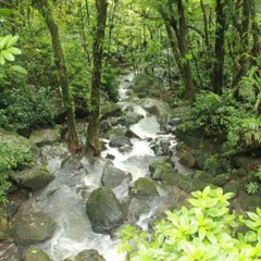 "El canto de las piedras" | Tres poemas de José de Diego, No. 2 (Narciso Figueroa)