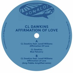 CL Dawkins - Blue Falconry